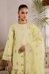 Festive Summer Lawn 2026 by Rajbari || Zarif