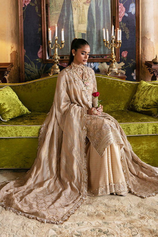 Afrozeh Hayat Party Collection | Sabat