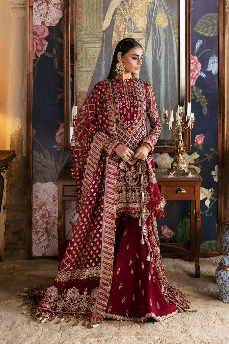 Afrozeh Hayat Party Collection | Dabeer