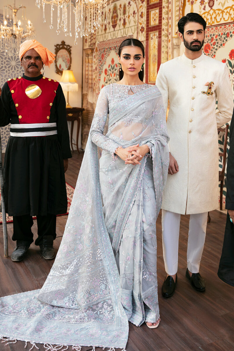 Afrozeh Hayat Party Collection | Zauq | Saree