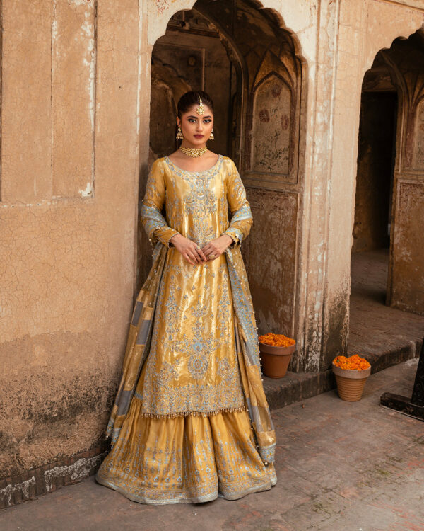 Faiza Saqlain Nira Luxury Wedding | Sozan