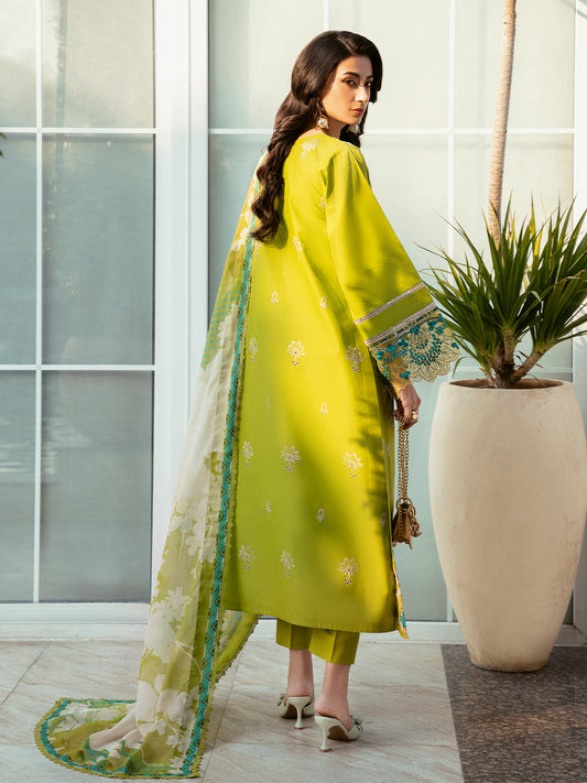 Kayra Summer Edit ’25 by Bin Ilyas | 312 – B