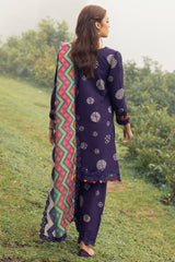 Charizma Fall Winter Shawl Collection | Combinations | 2024 | CCW4-03