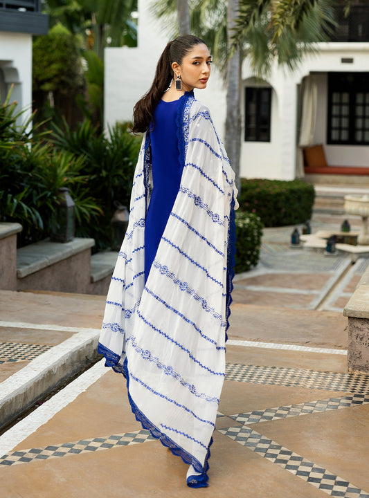 Zainab Chottani Chikankari Lawn 2025 | 11B