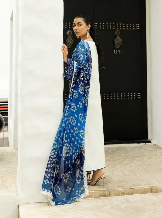 Zainab Chottani Chikankari Lawn 2025 | 8A