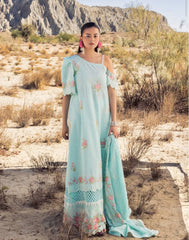 Gul Ahmed Lawn 2025 | DN 52024