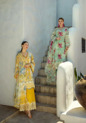 Elaf Signature Lawn 2025 | ETS-03B
