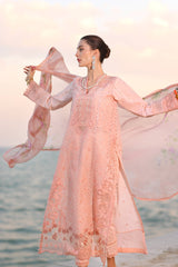 Noor Eid Luxury Laserkaari’25 by Saadia Aasad | D3-B