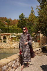 Noor Luxe Chikankaari 2025 by Saadia Aasad | D2-B