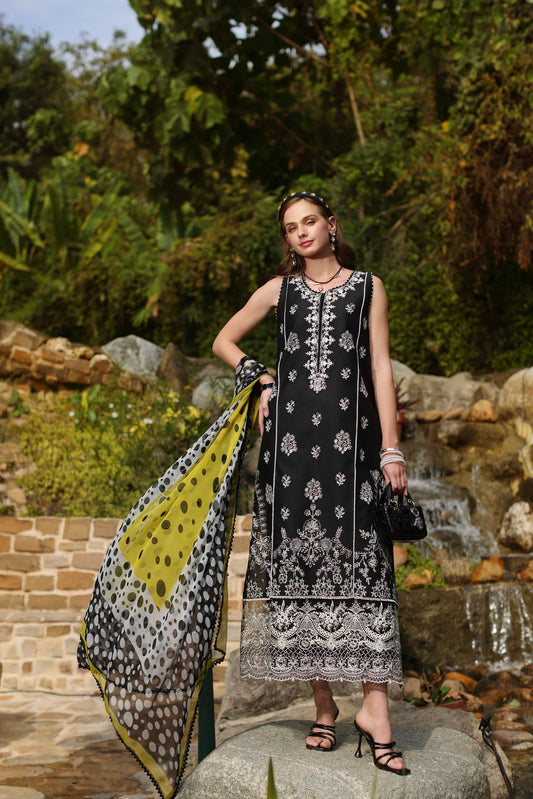 Noor Luxe Chikankaari 2025 by Saadia Aasad | D3-B