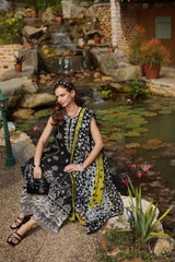 Noor Luxe Chikankaari 2025 by Saadia Aasad | D3-B