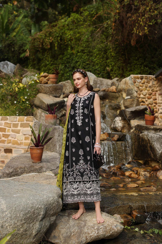 Noor Luxe Chikankaari 2025 by Saadia Aasad | D3-B