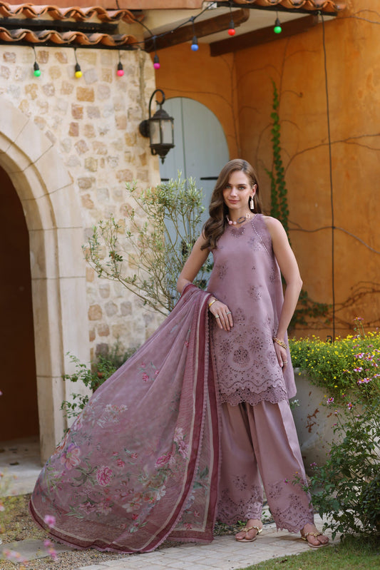 Noor Luxe Chikankaari 2025 by Saadia Aasad | D8-A