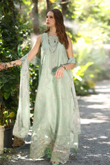 Noor Eid Luxe Printedkari ’25 by Saadia Aasad | D6-A