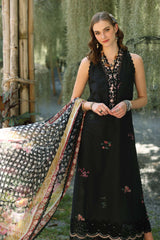 Noor Eid Luxe Printedkari ’25 by Saadia Aasad | D10-B