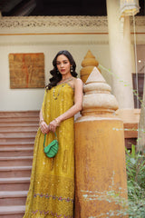 Noor Eid Luxury Laserkaari’25 by Saadia Aasad | D5-A