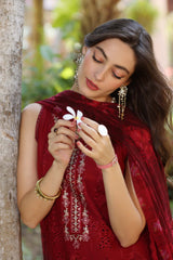 Noor Eid Luxury Laserkaari’25 by Saadia Aasad | D7-A