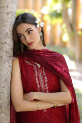 Noor Eid Luxury Laserkaari’25 by Saadia Aasad | D7-A