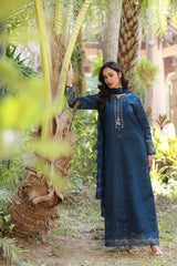 Noor Eid Luxury Laserkaari’25 by Saadia Aasad | D7-B