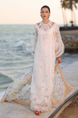 Noor Eid Luxury Laserkaari’25 by Saadia Aasad | D9-B