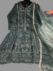 Readymade organza handwork suits