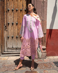 Mushq Odyssey | Lawn 2026 | Alba