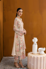 Ramsha Chevron 2025 | A-1011