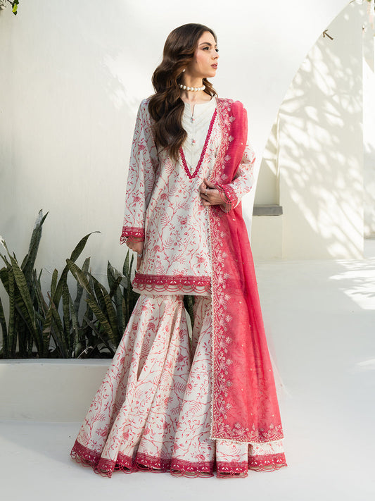 Faiza Faisal Lawn 2025 | INES