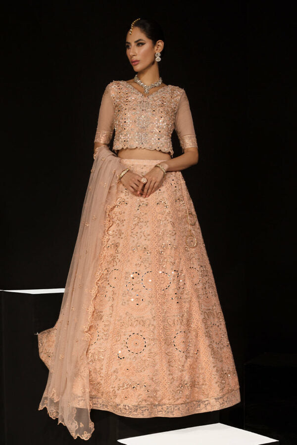 Chatoyer Wedding Formals by Rang Rasiya | ELENA