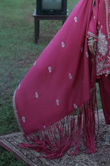 Gul Ahmed Winter 2026 - 3 Piece Embroidered Pashmina Suit with Embroidered Pashmina Dupatta–