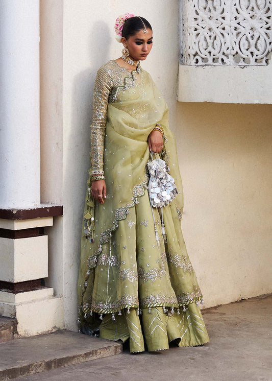 Darlings Festive 2025 Collection by Hussain Rehar | Tahiri