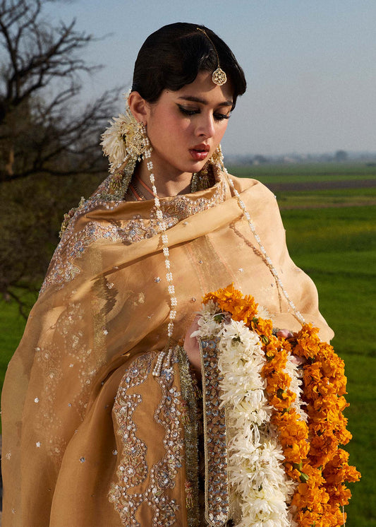 Darlings Festive 2025 Collection by Hussain Rehar | Sundal