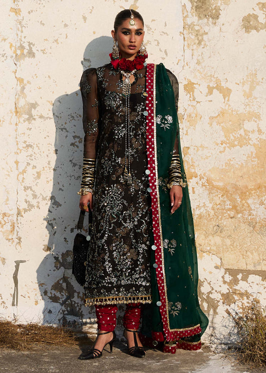 Darlings Festive 2025 Collection by Hussain Rehar | Shama