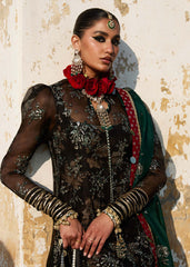 Darlings Festive 2025 Collection by Hussain Rehar | Shama