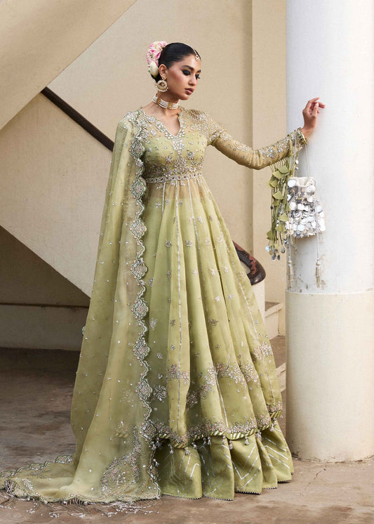 Darlings Festive 2025 Collection by Hussain Rehar | Tahiri