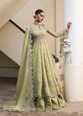 Darlings Festive 2025 Collection by Hussain Rehar | Tahiri