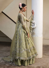 Darlings Festive 2025 Collection by Hussain Rehar | Tahiri