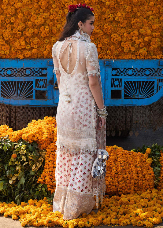 Darlings Festive 2025 Collection by Hussain Rehar | Zareen