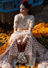 Darlings Festive 2025 Collection by Hussain Rehar | Zareen