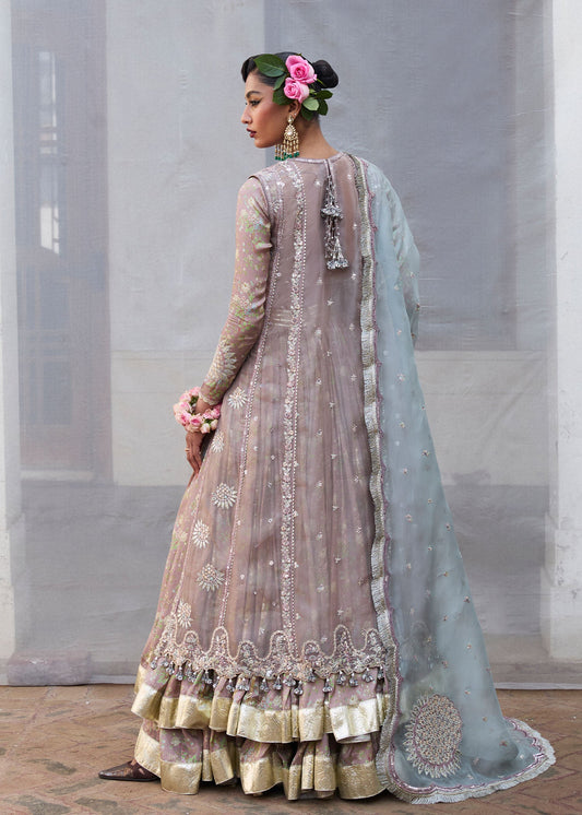 Darlings Festive 2025 Collection by Hussain Rehar | Ziniya