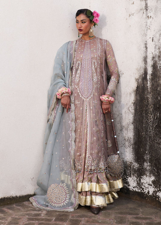 Darlings Festive 2025 Collection by Hussain Rehar | Ziniya