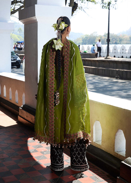 Hussain Rehar Luxury Lawn 2025 | Jeevan |