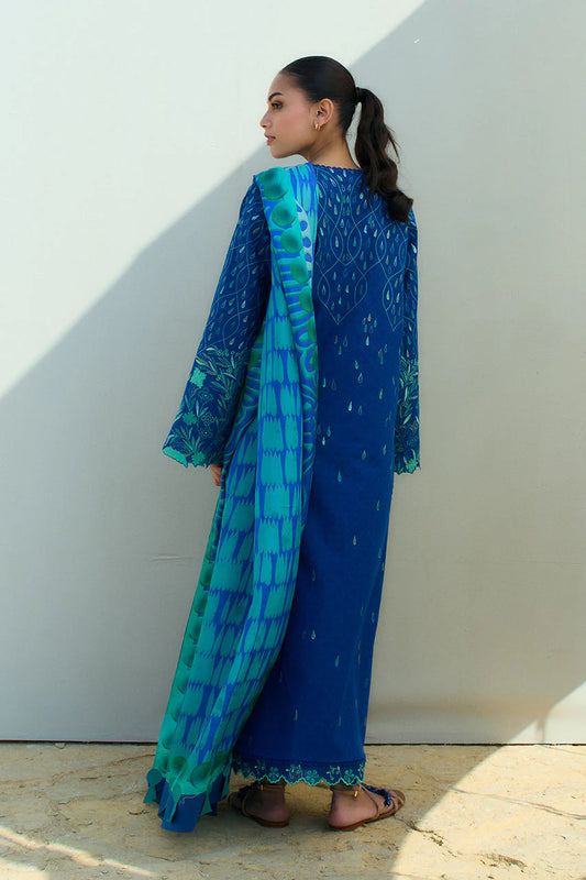 Sania Maskatiya Spring Summer 2025 Lawn | Haya (B)