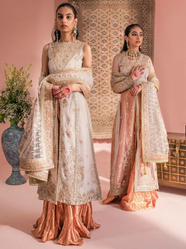 Aik Atelier Wedding Festive Embroidered Organza | Look-07