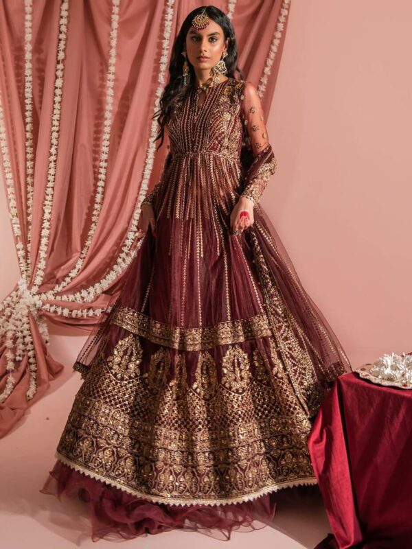 Aik Atelier Wedding Festive Embroidered Organza | Look-08