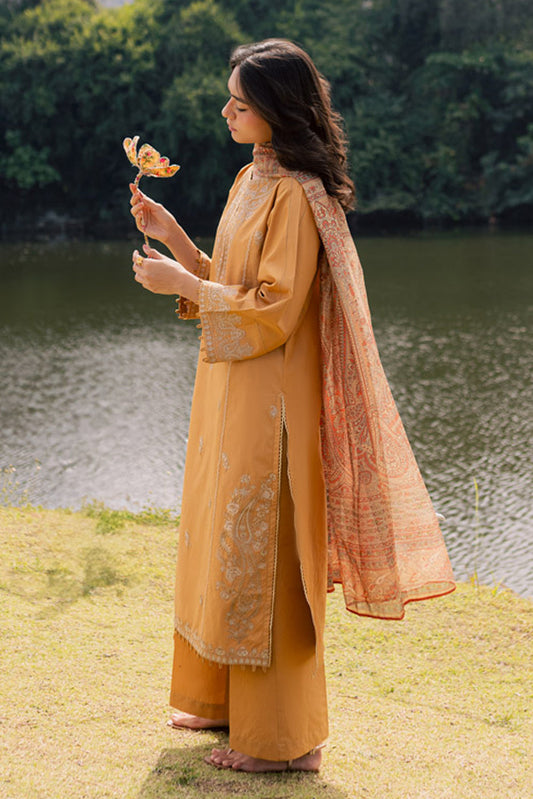 Beechtree Summer Lawn 2025 | BT12501UN006109-RUST-2000000280228-3PC
