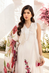 MARIA B M Basics 2025 | MB-CUS25-701B