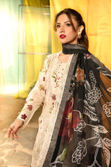 MARIA B M Basics 2025 | MB-CUS25-702B
