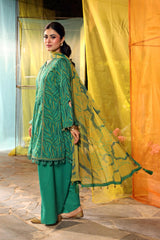 MARIA B M Basics 2025 | MB-CUS25-704A