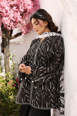 MARIA B M Basics 2025 | MB-CUS25-704B
